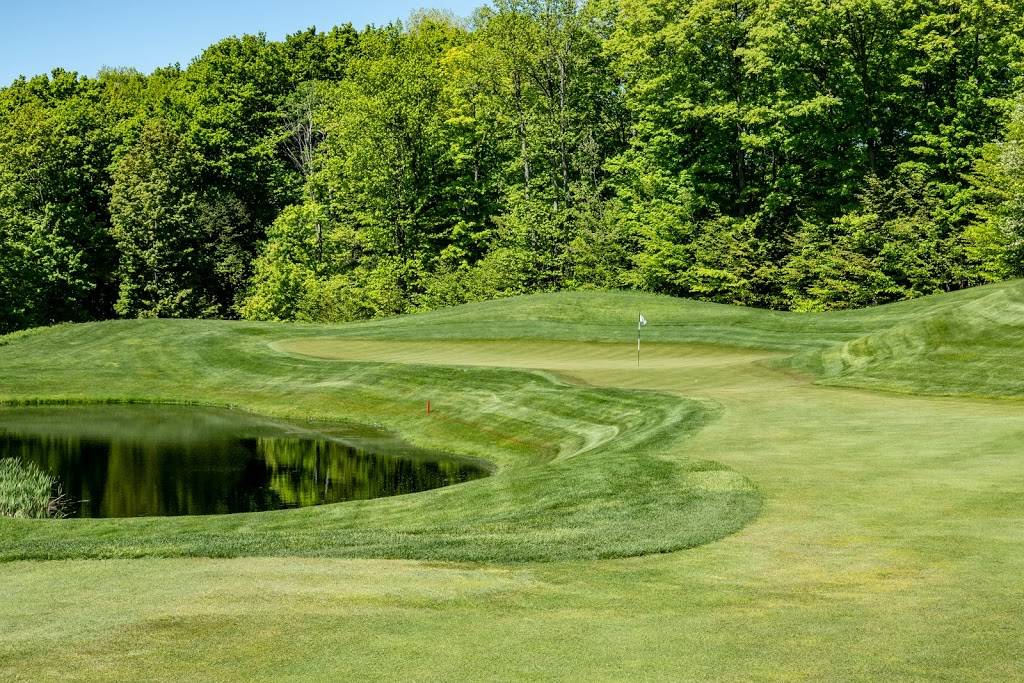 True North Golf Club | restaurant | 2500 True N Dr, Harbor Springs, MI 49740, USA | 2315263300 OR +1 231-526-3300