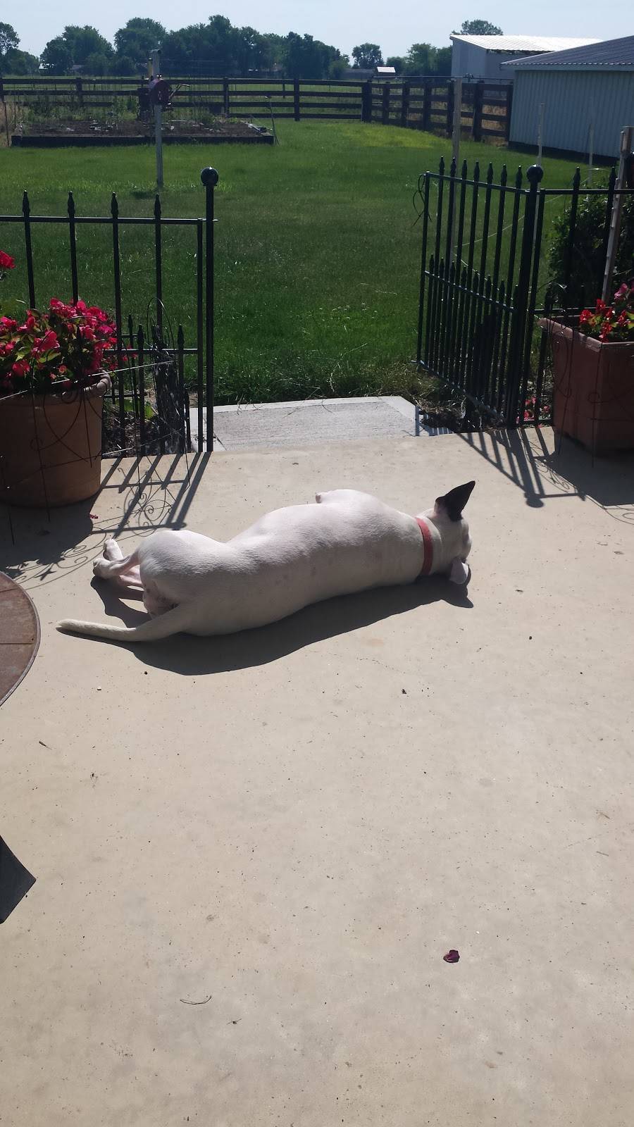 Mic Nicks Pizza & Carry Out | meal takeaway | 310 S East St, Camden, OH 45311, USA | 9377873114 OR +1 937-787-3114