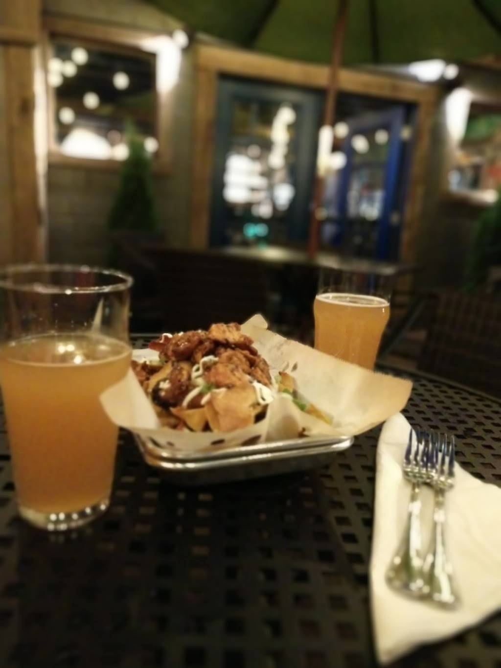 The Freefolk Brewery | restaurant | 1690 Court Street, Fayetteville, WV 25840, USA | 3049005238 OR +1 304-900-5238