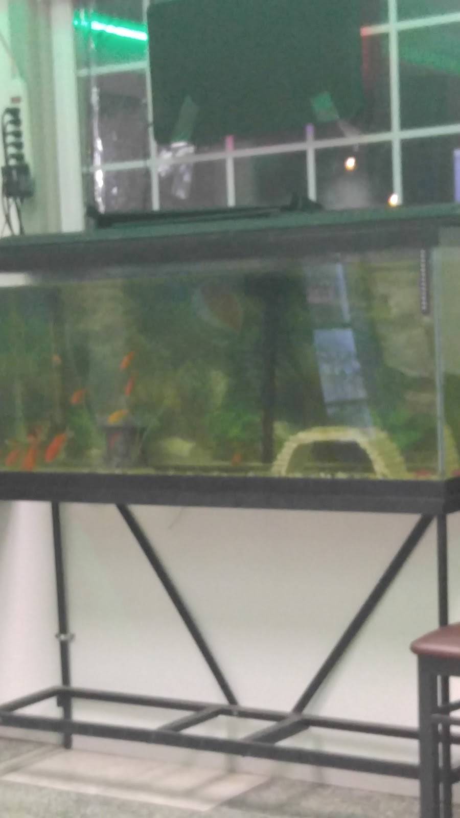 Spice Grill | restaurant | 3447 Richmond St, Philadelphia, PA 19134, USA | 2157392886 OR +1 215-739-2886