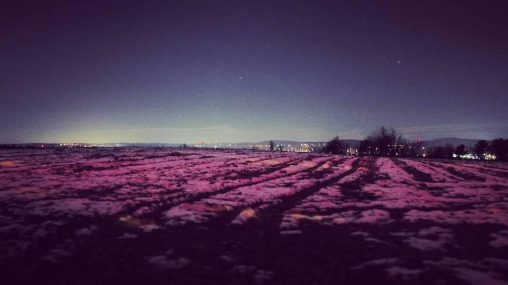 Apple Hill Farm | restaurant | 143 Joslin St, Leominster, MA 01453, USA | 9784667804 OR +1 978-466-7804