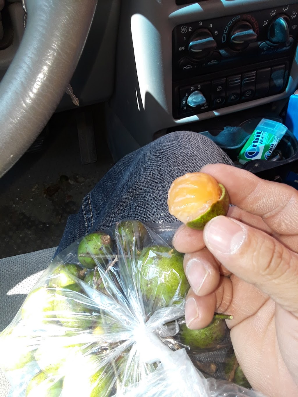 Restaurante Tierra Caliente | restaurant | 624 Kansas Ave, Kansas City, KS 66105, USA | 9135732222 OR +1 913-573-2222