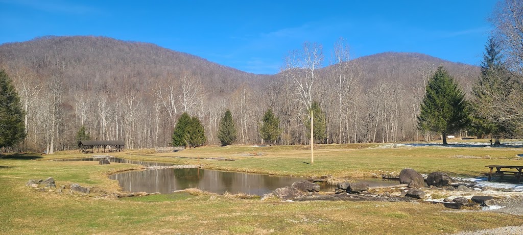 Ellie Mays Restaurant | restaurant | 228 Dry Branch Rd, Monterville, WV 26294, USA | 3043392359 OR +1 304-339-2359