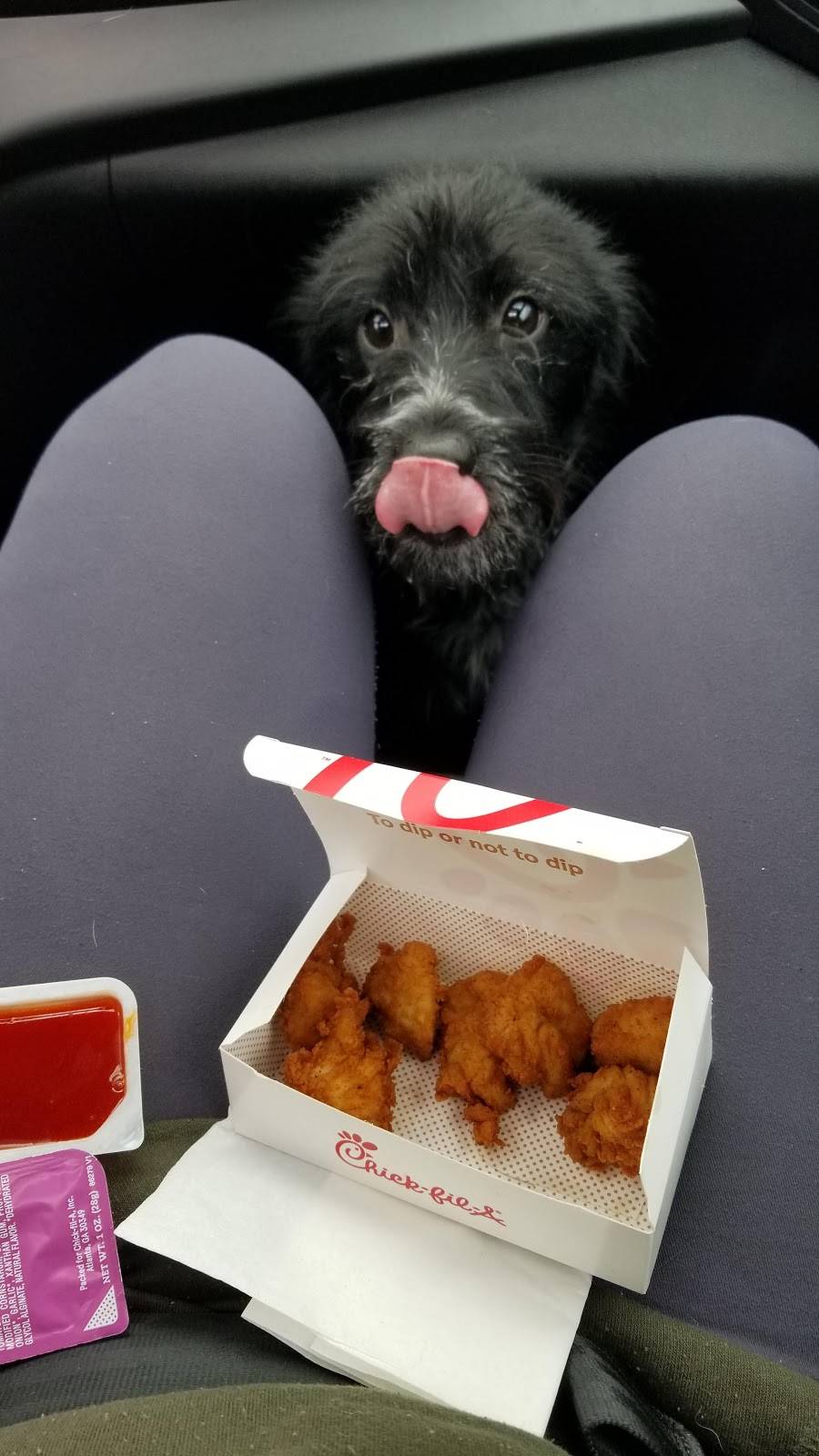 Chick-fil-A | restaurant | 1921 Skibo Rd, Fayetteville, NC 28314, USA | 9108684849 OR +1 910-868-4849