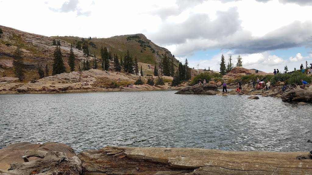 Alfs Restaurant | restaurant | 10202 Little Cottonwood Canyon Rd, Alta, UT 84092, USA | 8017992295 OR +1 801-799-2295