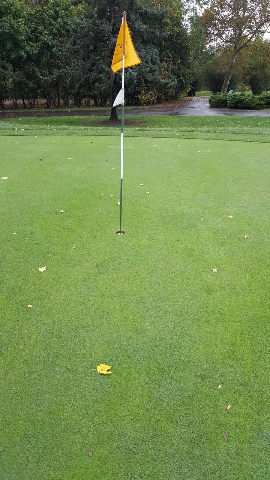 Bensalem Township Country Club | restaurant | 2000 Brown Ave, Bensalem, PA 19020, USA | 2156395556 OR +1 215-639-5556