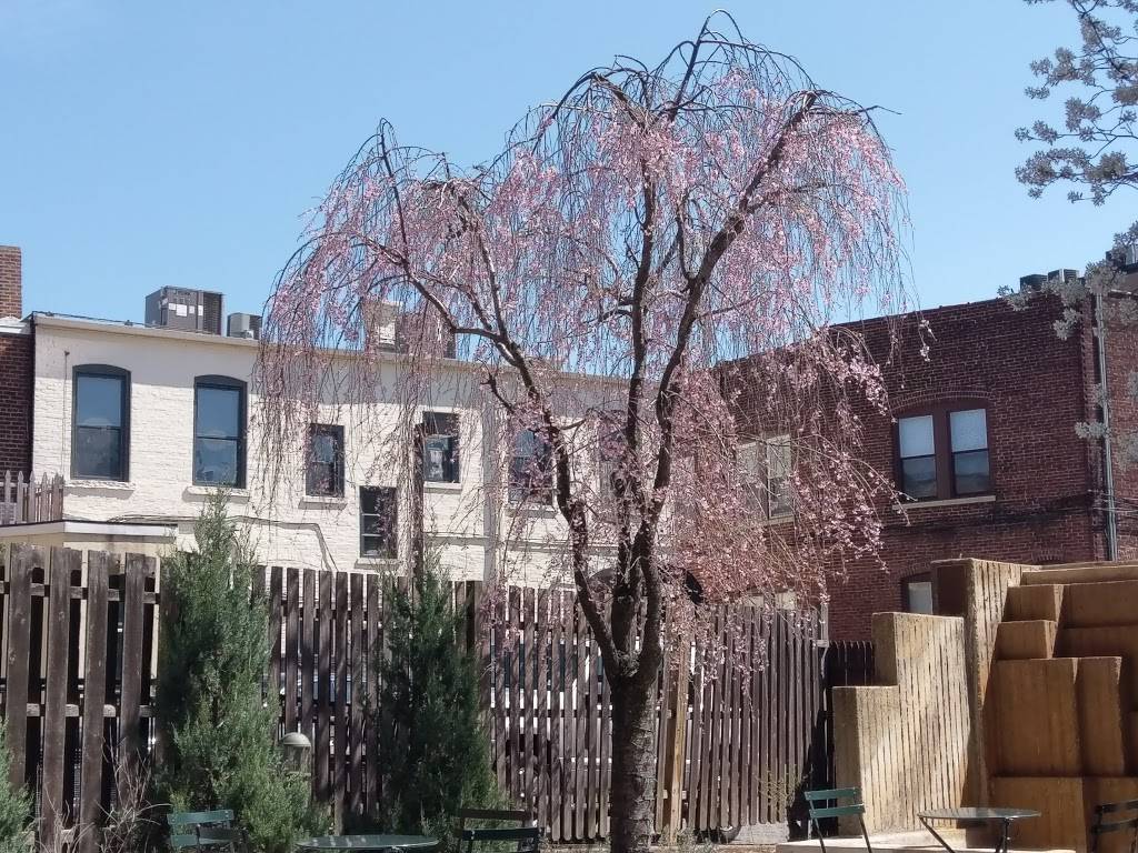 MONDO Summit | cafe | 426 Springfield Ave, Summit, NJ 07901, USA | 9179694534 OR +1 917-969-4534