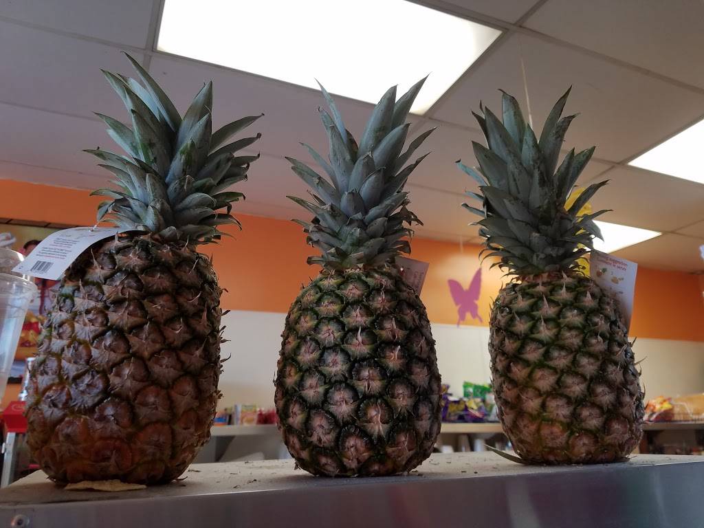 X-Tra Bionicos Allexis | restaurant | 1552 W Adams Blvd, Los Angeles, CA 90007, USA | 3237330032 OR +1 323-733-0032