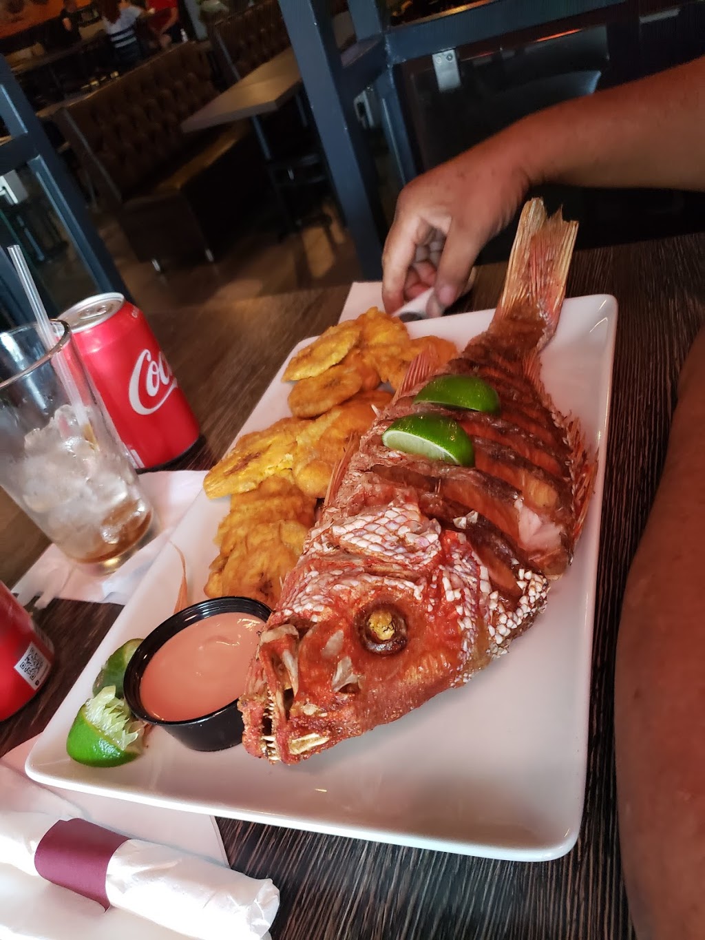 Sahara Cafe Miami | restaurant | 19605 NW 57th Ave, Miami Gardens, FL 33055, USA | 3057602086 OR +1 305-760-2086