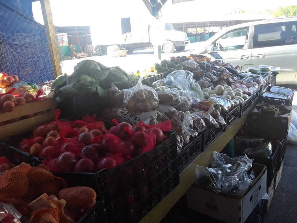 Casa Fresh Market / Tampa Florida 33610 | restaurant | 2302 E Hillsborough Ave suite a, Tampa, FL 33610, USA | 8133471202 OR +1 813-347-1202