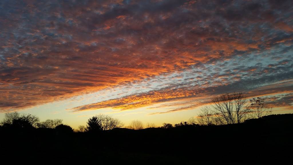 Myrtle Mays Café | restaurant | 236 Sunbury St, Minersville, PA 17954, USA | 5703995110 OR +1 570-399-5110