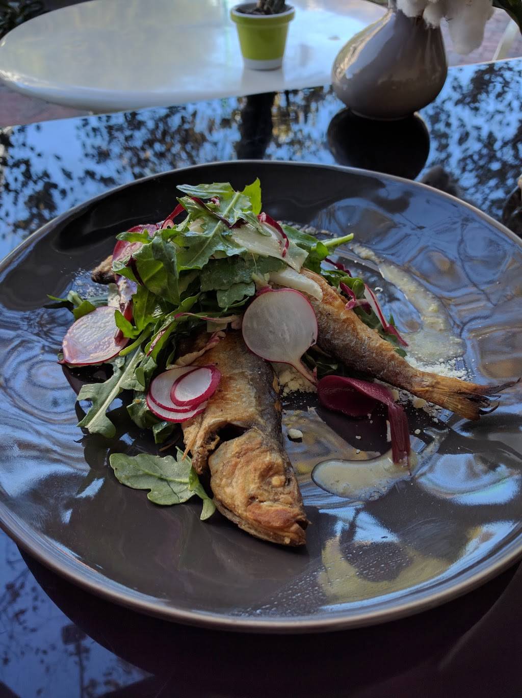 Chartreuse Bistro | restaurant | 205 E City Hall Ave, Norfolk, VA 23510, USA | 7579652137 OR +1 757-965-2137