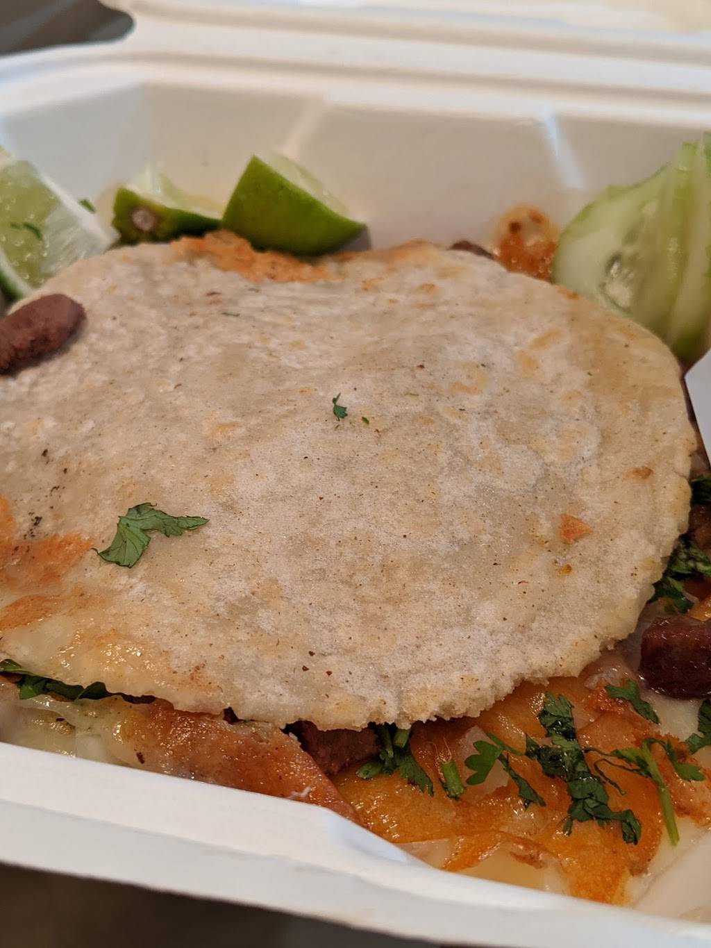 Taco & Co. | restaurant | 2521 Durant Ave Suite B, Berkeley, CA 94704, USA | 5107672680 OR +1 510-767-2680