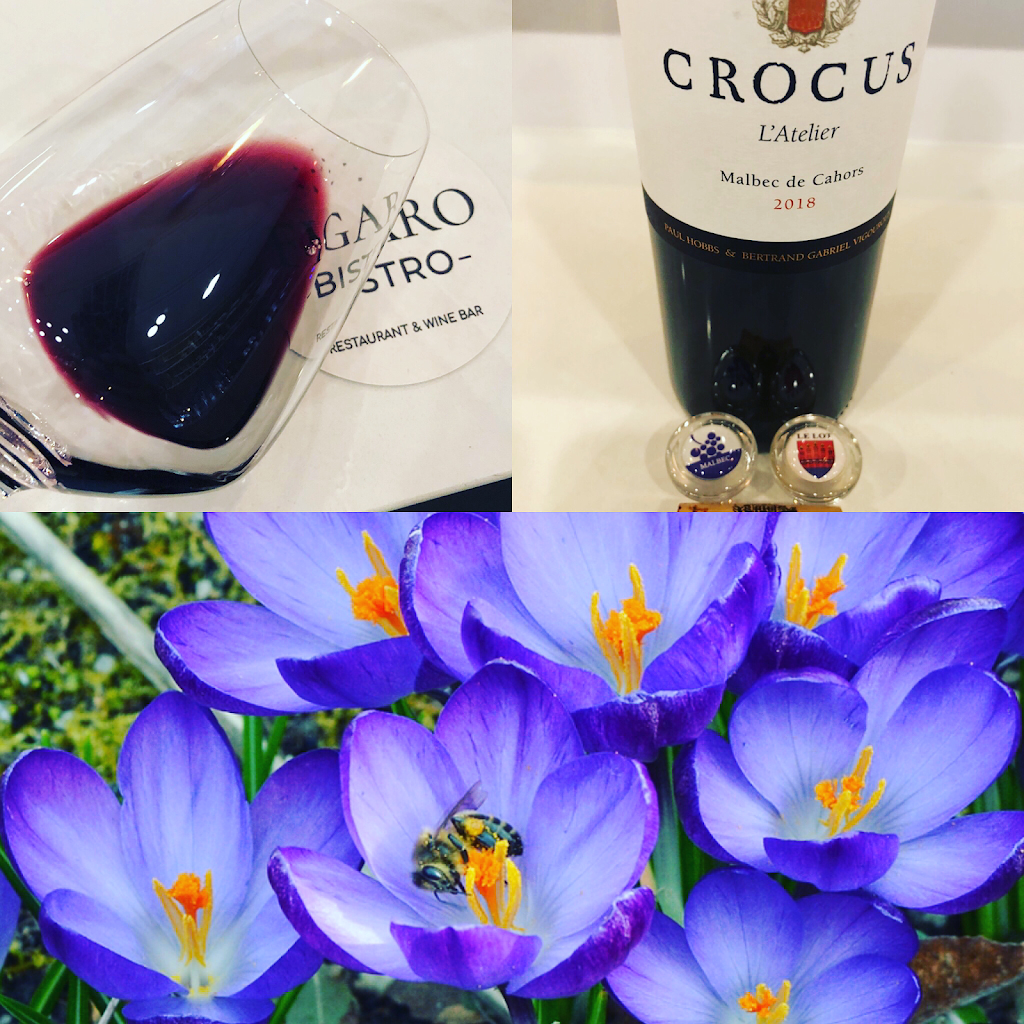 Figaro Bistro | restaurant | 1944 Hillview St, Sarasota, FL 34239, USA | 9419602109 OR +1 941-960-2109