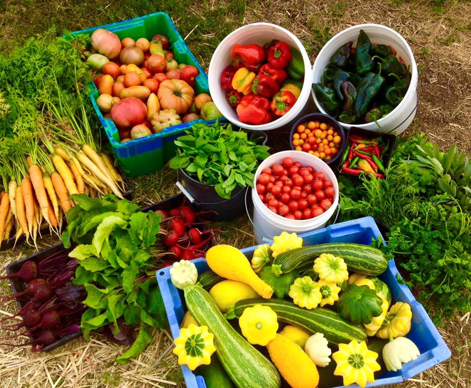 Vin Du Lac Winery | restaurant | 105 WA-150, Chelan, WA 98816, USA | 5096822882 OR +1 509-682-2882