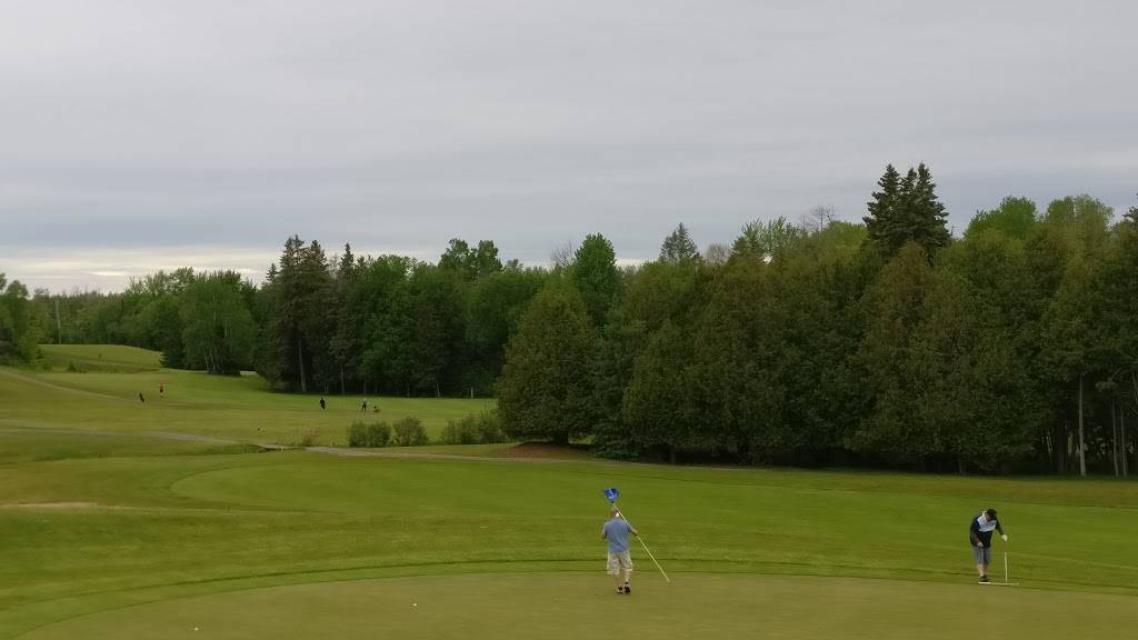 Greensmere Golf & Country Club | restaurant | 1717 Bearhill Rd, Carp, ON K0A 1L0, Canada | 6138397772 OR +1 613-839-7772