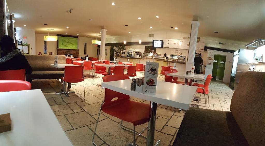 Thrive Organic | restaurant | 3473 Lake Shore Blvd W, Etobicoke, ON M8W 1N5, Canada | 4162527700 OR +1 416-252-7700