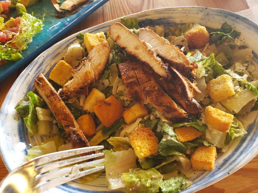 Salt Shack On The Bay | restaurant | 5415 W Tyson Ave, Tampa, FL 33611, USA | 8134444569 OR +1 813-444-4569