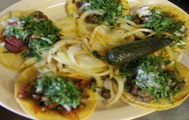 El carrizal mexican restaurant | restaurant | 10414 Telephone Rd, Houston, TX 77075, USA | 8327425643 OR +1 832-742-5643