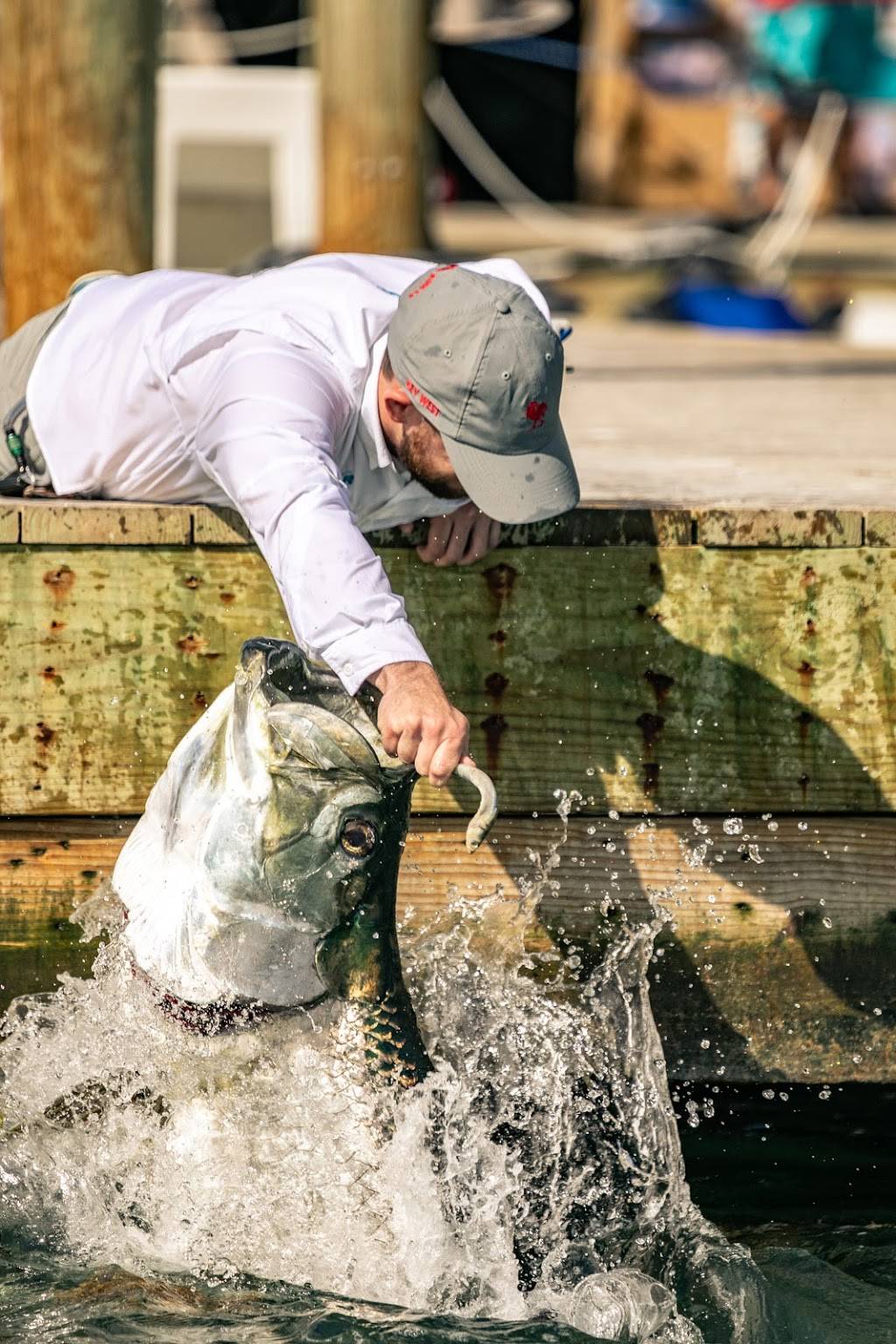 Robbies | restaurant | 77522 Overseas Hwy, Islamorada, FL 33036, USA | 3056648070 OR +1 305-664-8070