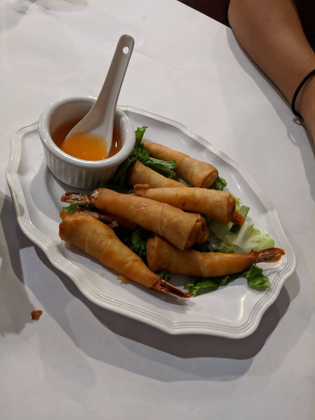 Apsara Palace Restaurant | restaurant | 783 Hope St, Providence, RI 02906, USA | 4018314722 OR +1 401-831-4722