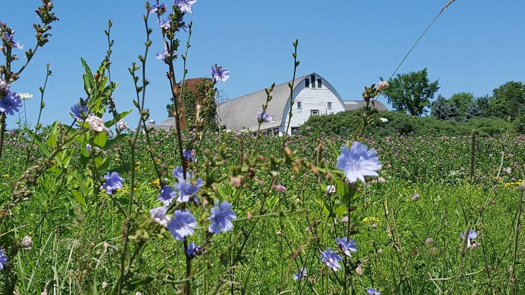 Dunkin | bakery | 6030 Duanesburg Rd, Duanesburg, NY 12056, USA | 5188955331 OR +1 518-895-5331