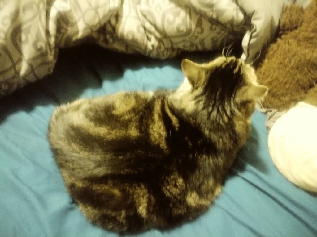 Pizza Rita | restaurant | 55 County Rd 48, Mattituck, NY 11952, USA | 6313155557 OR +1 631-315-5557