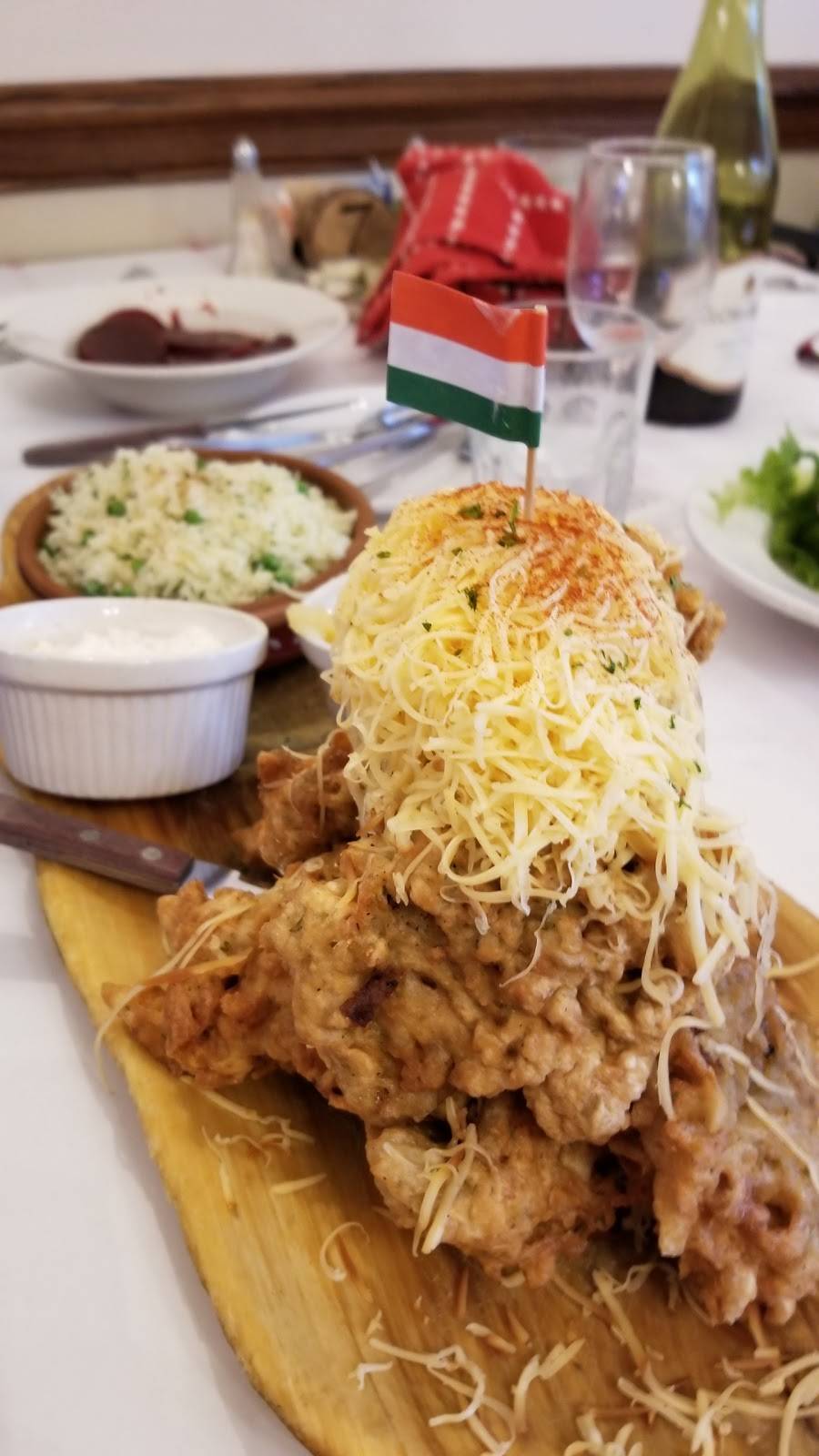 Balaton Restaurant | restaurant | 13133 Shaker Square, Cleveland, OH 44120, USA | 2169219691 OR +1 216-921-9691