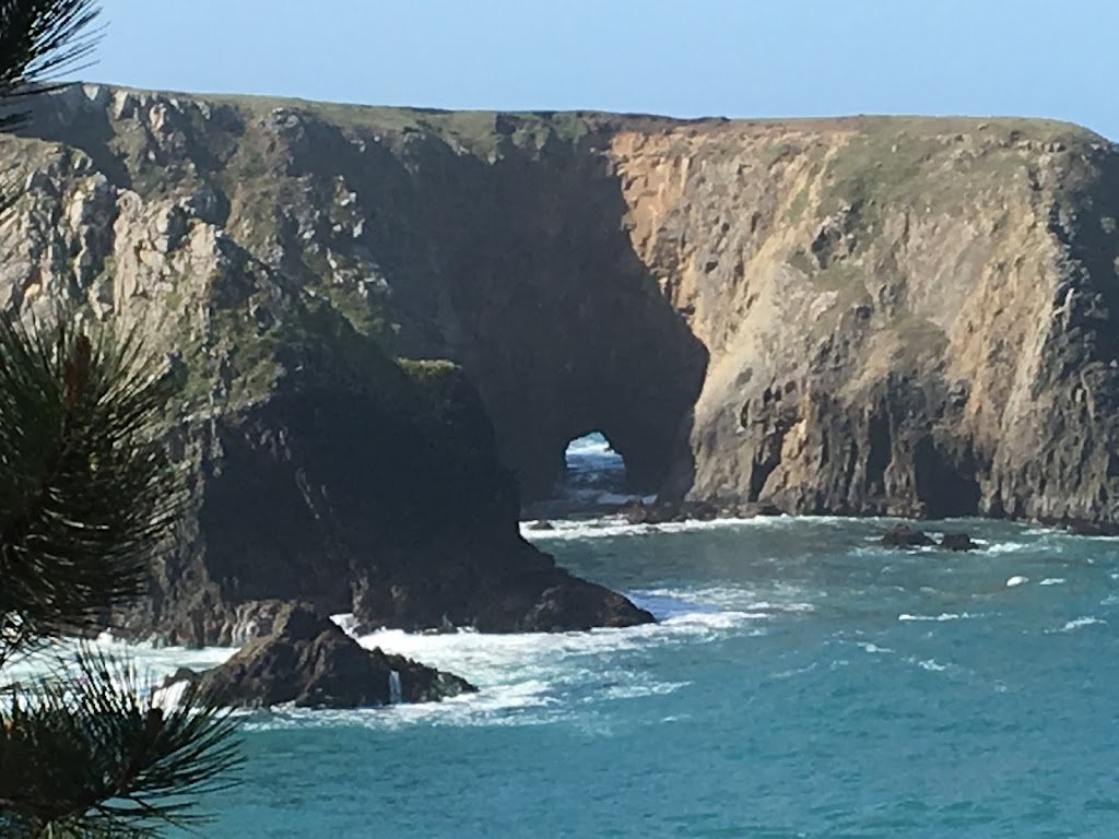 5200 Restaurant & Lounge | restaurant | 5200 CA-1, Little River, CA 95456, USA | 7072029000 OR +1 707-202-9000