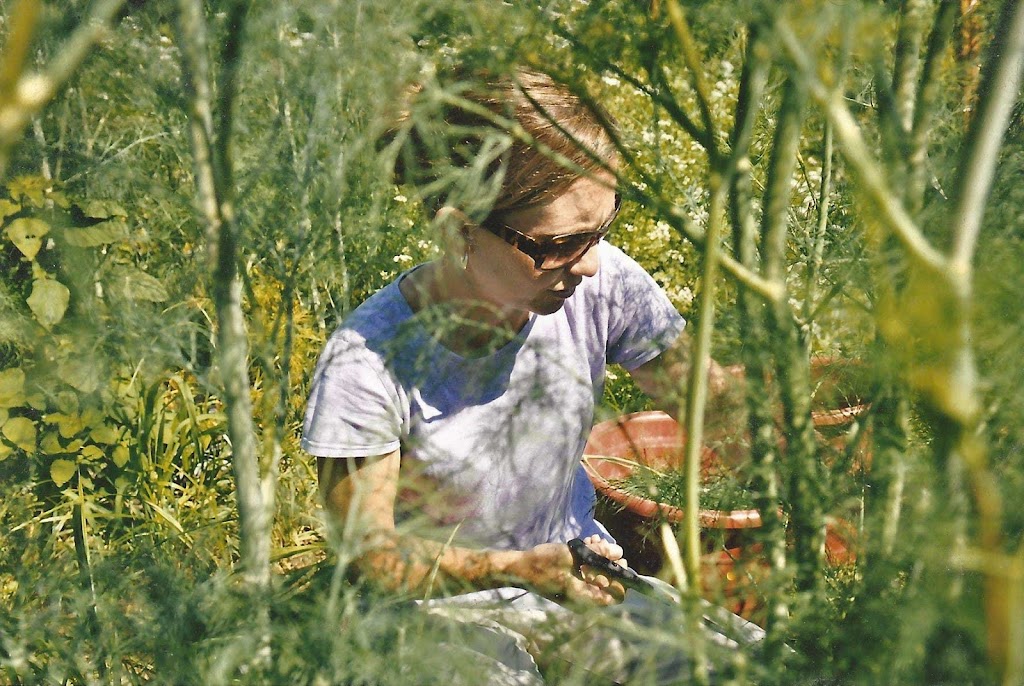 Cane Creek Valley Farm | restaurant | 1448 Cane Creek Rd, Fletcher, NC 28732, USA | 8283380271 OR +1 828-338-0271