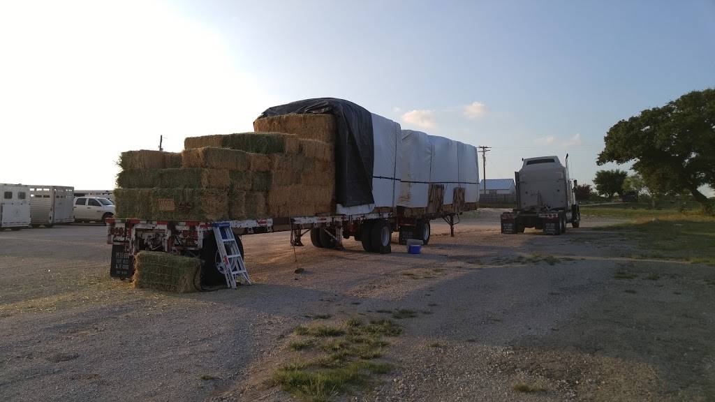 Grandma Bs Cafe | restaurant | 3581 US-281, Stephenville, TX 76401, USA | 2549680200 OR +1 254-968-0200