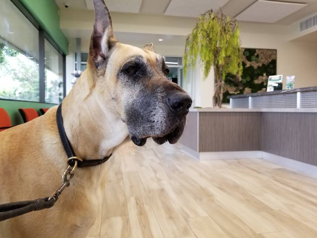 PetPoint Medical Center and Resort | restaurant | 2505 Da Vinci, Irvine, CA 92614, USA | 9495225700 OR +1 949-522-5700