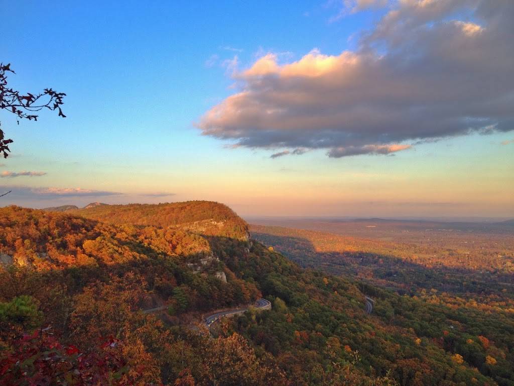 Dragon Garden | restaurant | 334 Lucas Ave, Kingston, NY 12401, USA | 8453400559 OR +1 845-340-0559