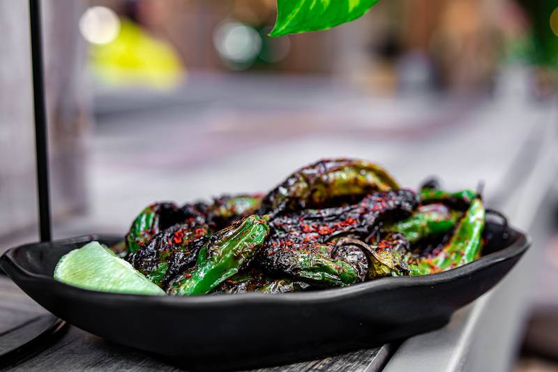 Germantown Garden | restaurant | 1029 Germantown Ave, Philadelphia, PA 19123, USA | 2672140086 OR +1 267-214-0086