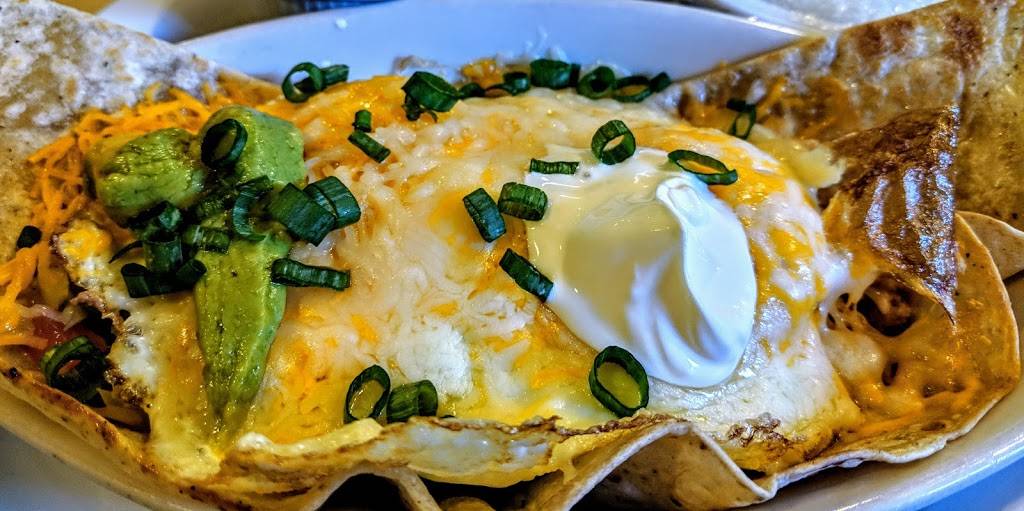 Blue Dolphin Cafe | cafe | 5370 Gulf of Mexico Dr Suite 101, Longboat Key, FL 34228, USA | 9413833787 OR +1 941-383-3787