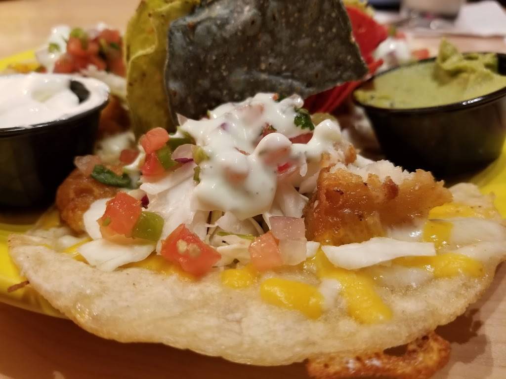 Stray Cat Cafe | restaurant | 5866 Washington Blvd, Arlington, VA 22205, USA | 7032377775 OR +1 703-237-7775