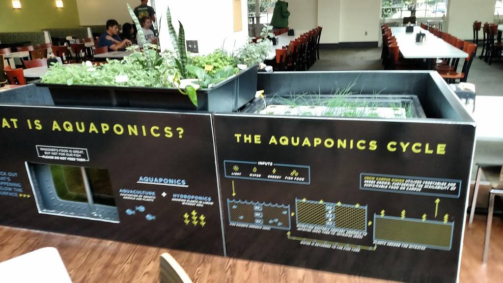 Wagoner Dining Hall | restaurant | Wilmington, NC 28403, USA | 9109622592 OR +1 910-962-2592