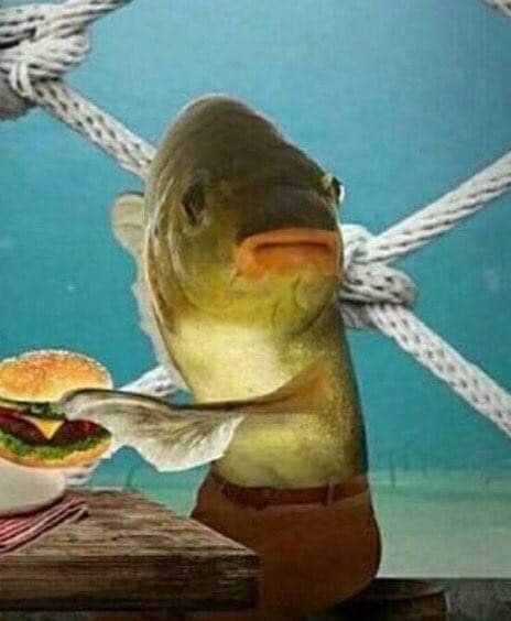 Sarku Japan | restaurant | 7804 Abercorn St Space. #FC-10, Savannah, GA 31406, USA | 9126910089 OR +1 912-691-0089