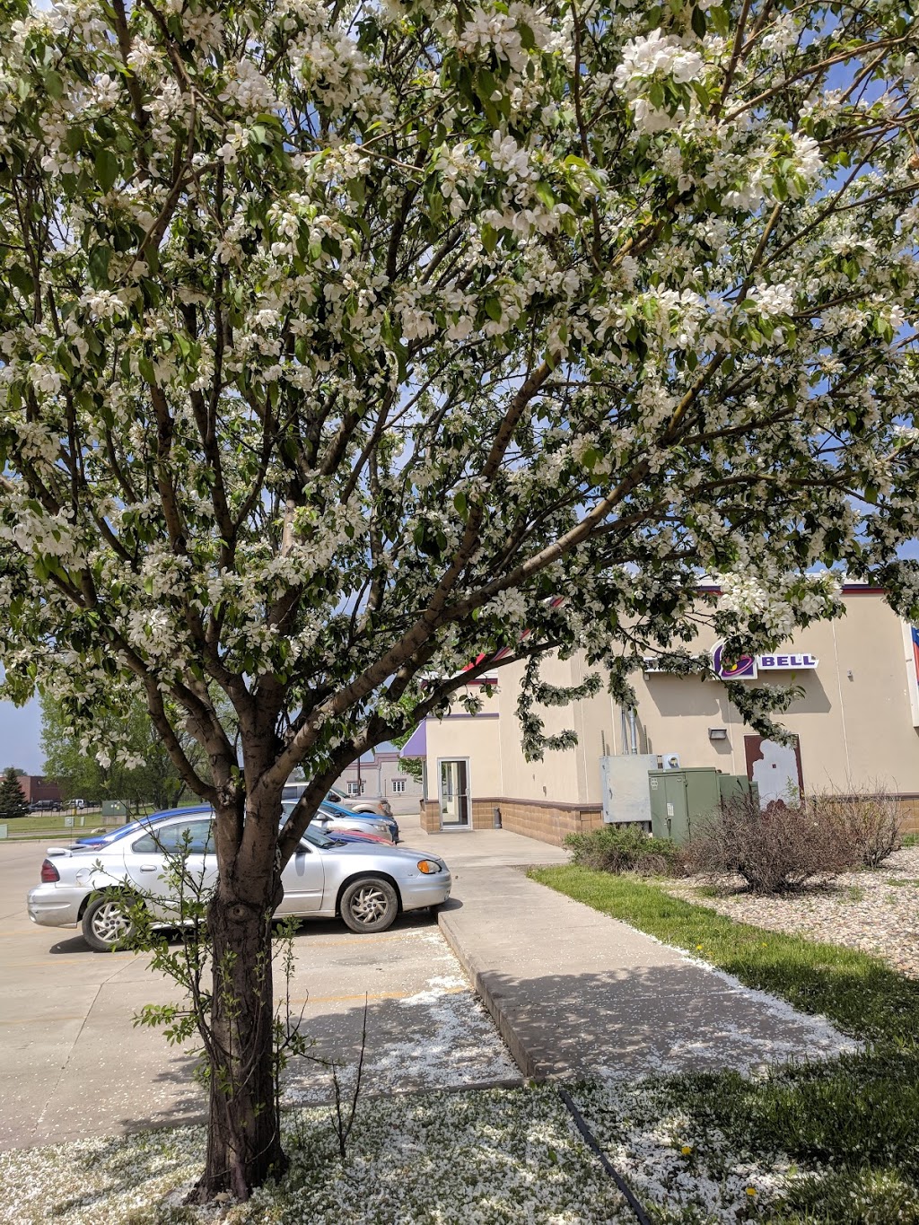 KFC | restaurant | 2504 Fox Run Pkwy, Yankton, SD 57078, USA | 6056654433 OR +1 605-665-4433