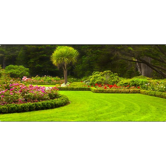 El Parasol | restaurant | 209 S Shady Shores Rd #400, Lake Dallas, TX 75065, USA | 2146647293 OR +1 214-664-7293