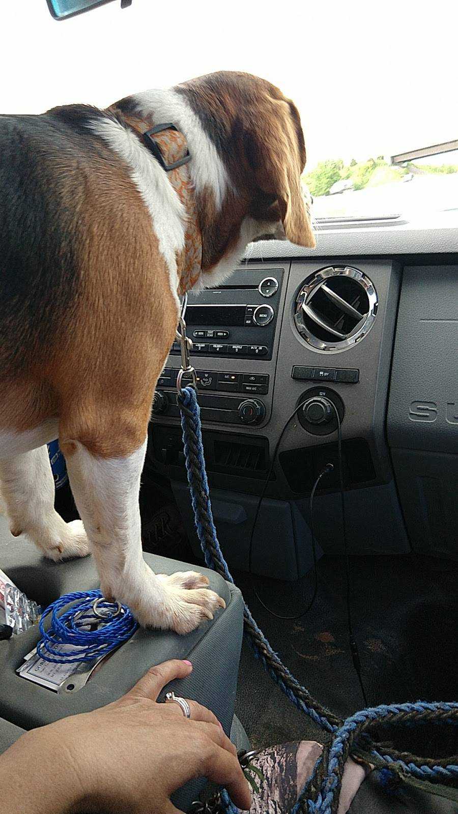 Señor Burrito | restaurant | 400 Old Nashville Hwy B, La Vergne, TN 37086, USA | 6155017800 OR +1 615-501-7800