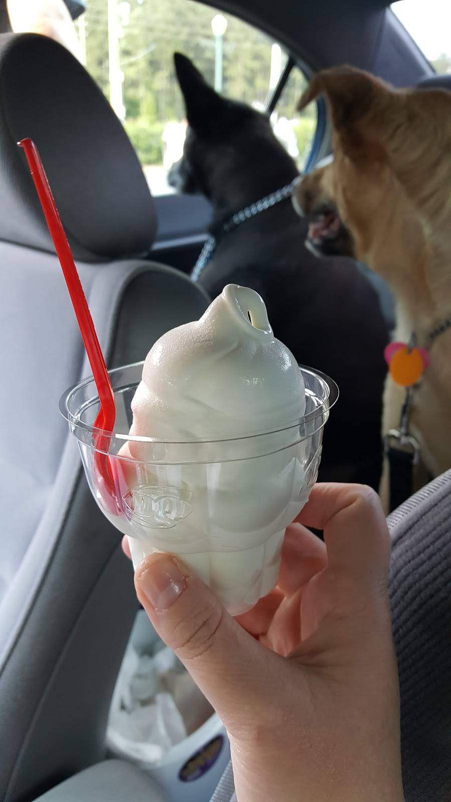 Dairy Queen Grill & Chill | restaurant | 11697 US Highway 70 W, Clayton, NC 27520, USA | 9195532529 OR +1 919-553-2529