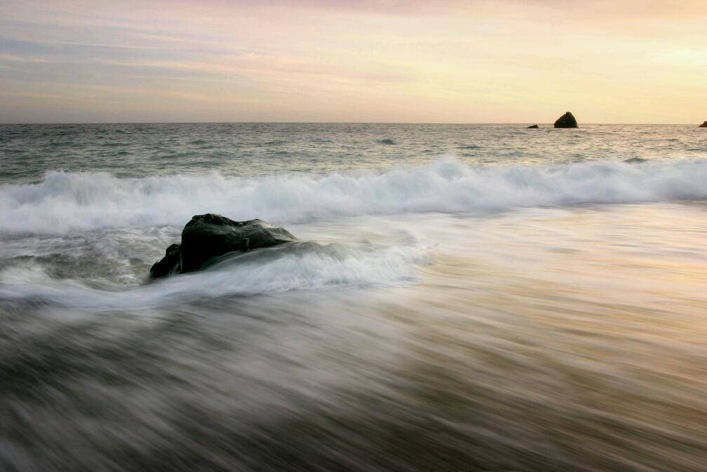 New Hawaii Sea | restaurant | 1475 Williamsbridge Rd, Bronx, NY 10461, USA | 7188637900 OR +1 718-863-7900