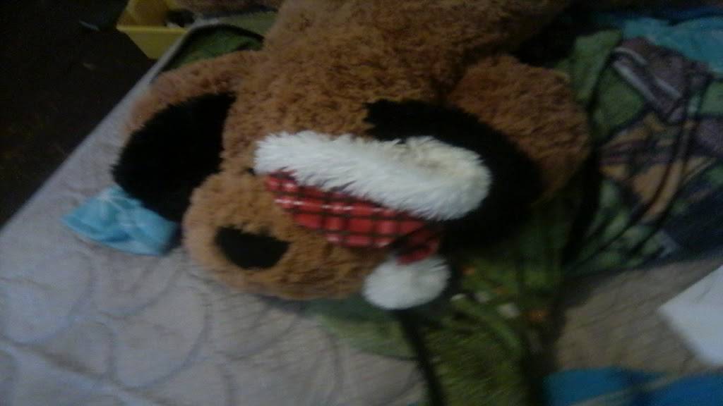 Freddies Pizzeria | meal takeaway | 9875 US-36, St Paris, OH 43072, USA | 9376630110 OR +1 937-663-0110