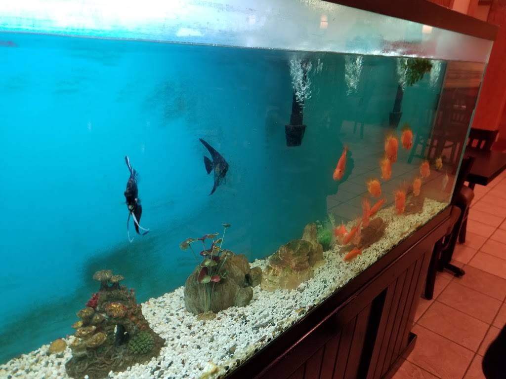 Tasty House | restaurant | 105 17th Ave NE, Waseca, MN 56093, USA | 5078352699 OR +1 507-835-2699