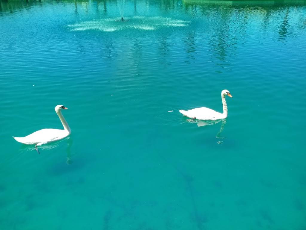 Carls Jr. | restaurant | 41717 Big Bear Blvd, Big Bear Lake, CA 92315, USA | 9098669672 OR +1 909-866-9672