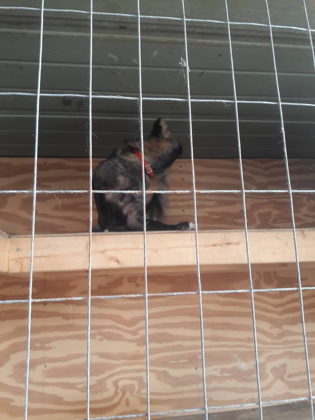 Hungry Howies | meal delivery | 2262 US-1, Mims, FL 32754, USA | 3212642455 OR +1 321-264-2455