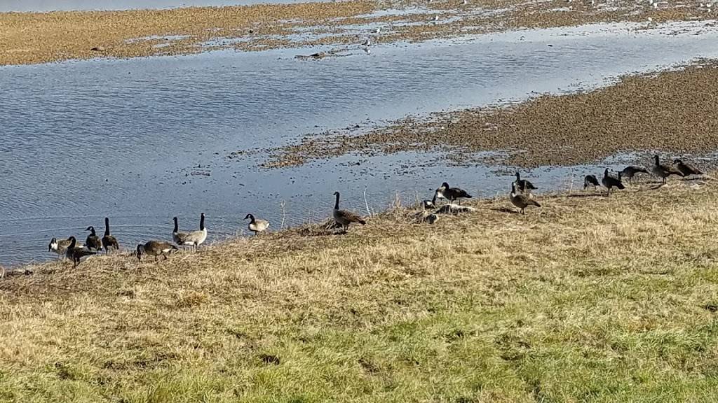 Bladensburg Waterfront Park | restaurant | 4601 Annapolis Rd, Bladensburg, MD 20710, USA | 3017790371 OR +1 301-779-0371