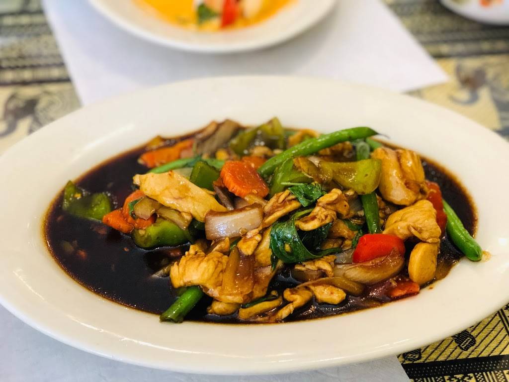 Thai Bistro | restaurant | 2055 28th St SE #9, Grand Rapids, MI 49508, USA | 6164520065 OR +1 616-452-0065