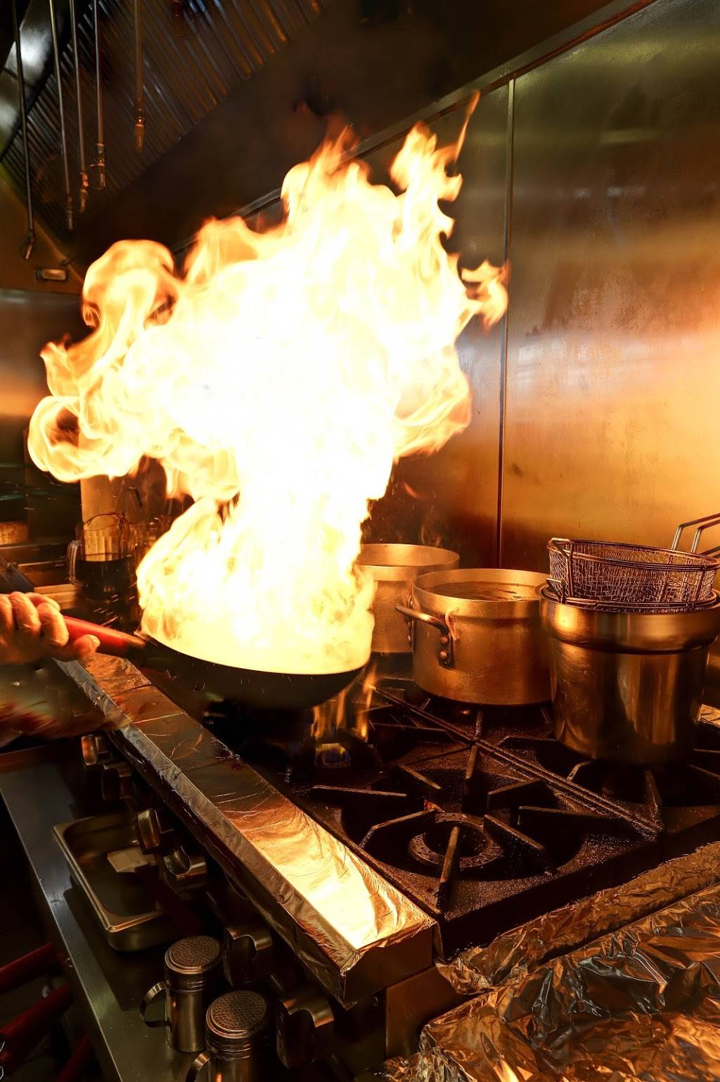 Teriyaki Madness | restaurant | 4225 S Gilbert Rd Ste, #1, Chandler, AZ 85249, USA | 4805845353 OR +1 480-584-5353